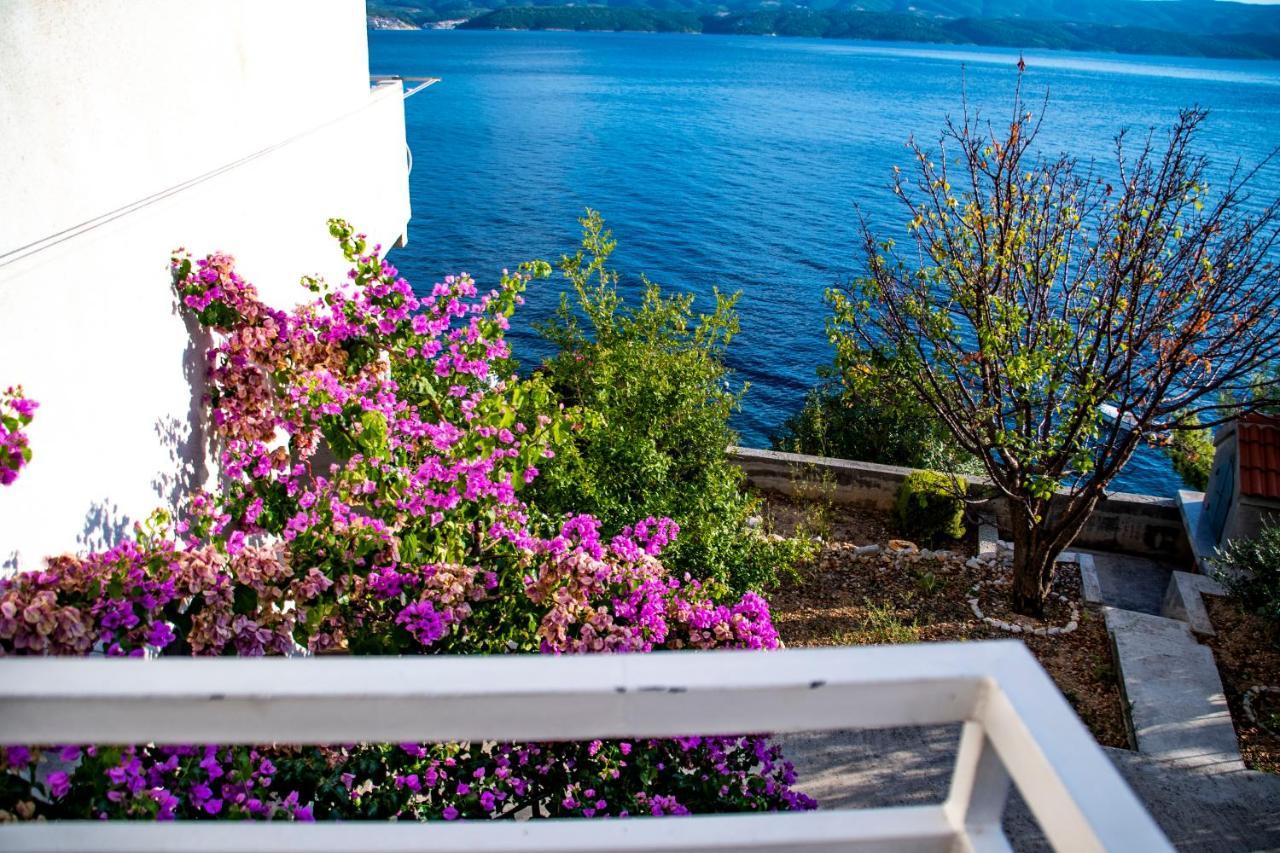 Apartments Lile By The Sea, Celina Zavode المظهر الخارجي الصورة